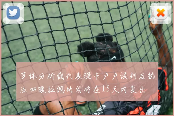 罗体分析裁判表现卡卢卢误判后执法回暖拉佩纳或将在15天内复出